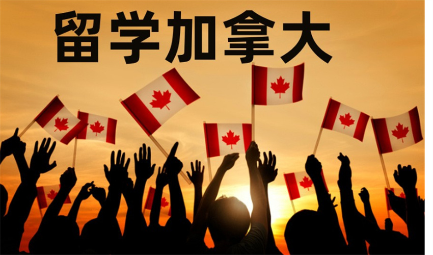 微信图片_20240719134148